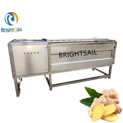 Brightsail Cleaning And Peeler For Ginger Roller Brush Peeling Machine